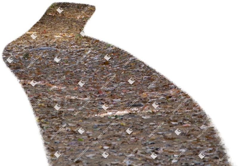 Other foreground cut out foreground png (8240)