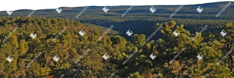 Other foreground other background cut out foreground png (9484)