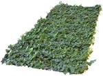 Other vegetation  (5268) - miniature