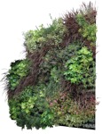 Other vegetation  (14476) - miniature