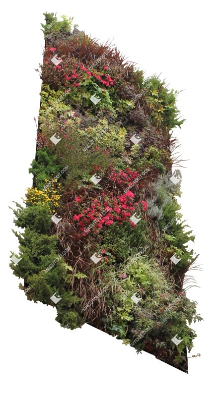 Cut out other vegetation png vegetation (14477) Cut out other vegetation png vegetation (14477)
