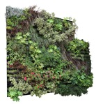 Other vegetation  (14689) - miniature