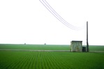 Cut out Other Vegetation Grass Field Other Foreground 0001 | MrCutout.com - miniature