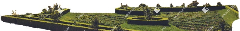 Cut out other vegetation grassy other foreground plant cutouts (6573)