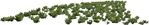 Other vegetation pinus  (6702) - miniature