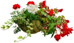 Cut out potted flower png vegetation (4374) - miniature