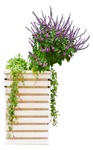 Cut out potted flower vegetation png (12442) - miniature