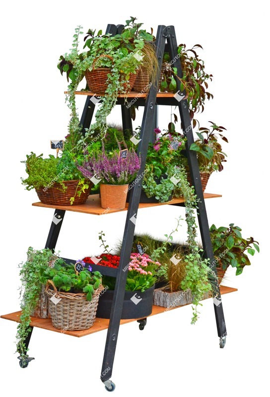 Cutout potted flower png vegetation (7930)
