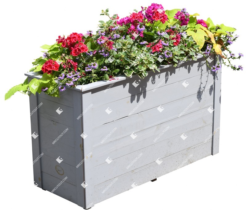 Cutout potted flower png vegetation (12190)