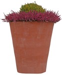 Cut out potted flower lavandula angustifolia plant cutouts (3318) - miniature