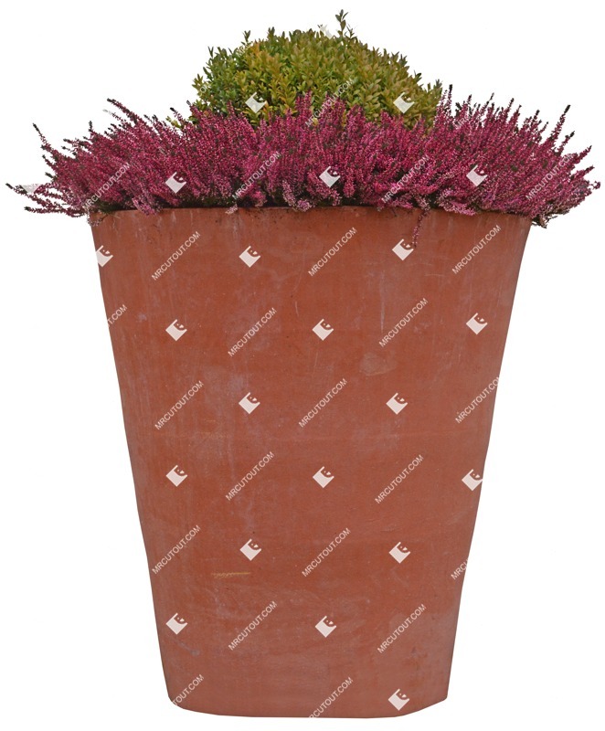 Cut out potted flower lavandula angustifolia plant cutouts (3318)