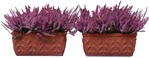 Cut out Potted Flower Lavandula Angustifolia 0002 | MrCutout.com - miniature