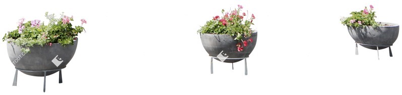Cutout potted flower pelargonium plant cutouts (5358)