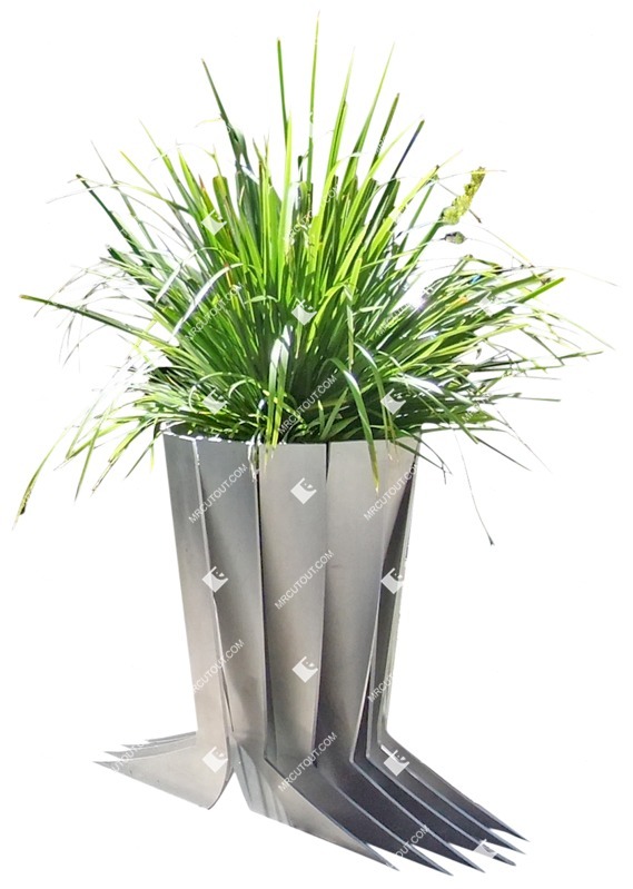 Png potted flower spartina pectinata vegetation png (2974)
