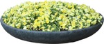Cut out Potted Flower Viola Wittrockiana Gams 0010 | MrCutout.com - miniature