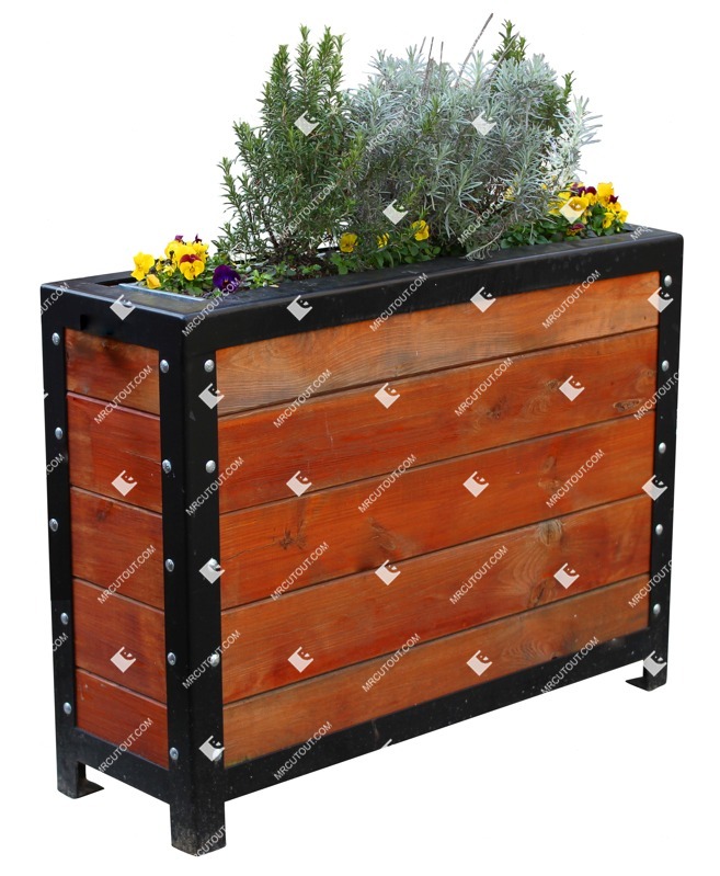 Cut out potted flower viola wittrockiana gams vegetation png (10304)