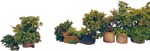 Cutout potted tree cut out plants (5543) - miniature