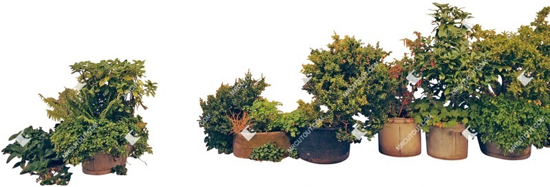 Cutout potted tree cut out plants (5543)