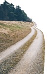 Road other foreground cut out foreground png (8868) - miniature