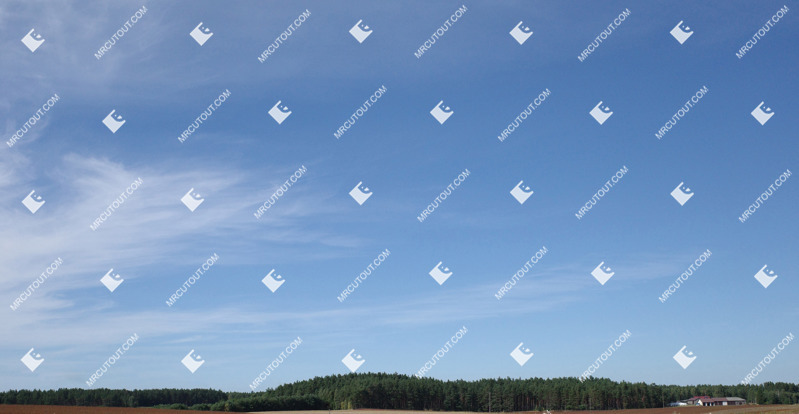 Sunny blue forest other background photoshop sky (9286)