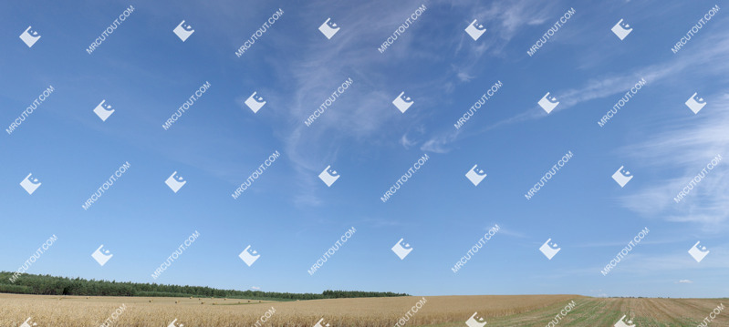 Sunny clouds forest fields other background photoshop sky (9209)