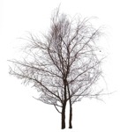 Cut out Tree 0021 | MrCutout.com - miniature