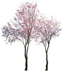 Cutout tree plant cutouts (1014) - miniature