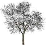 Cut out tree cutout plant (3766) - miniature