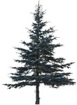 Tree  (3936) - miniature