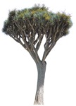 Cut out tree cutout plant (4057) - miniature