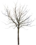 Tree  (4229) - miniature