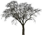 Cutout tree cutout plant (4655) - miniature