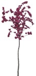 Png tree cerasus serrulata cut out plants (8784) - miniature
