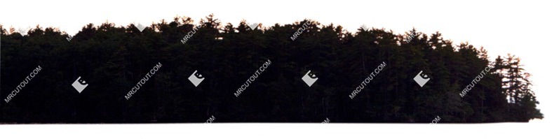 Trees png background cut out (6378)