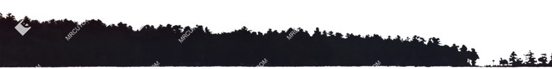 Trees png background cut out (5643)