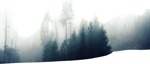 Trees cut out background png (5772) - miniature