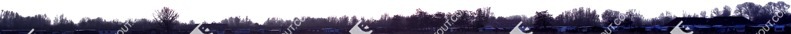 Trees coast cut out background png (5493)