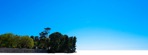 Trees coast png background cut out (5623) - miniature