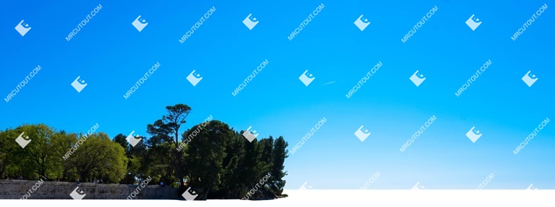 Trees coast png background cut out (5628)