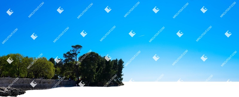 Trees coast other background png background cut out (5627)