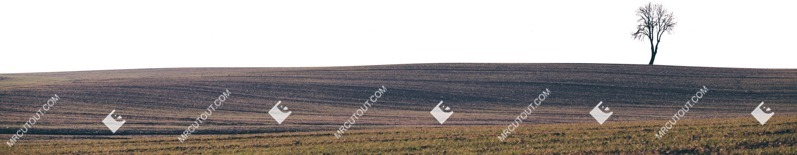 Trees fields png background cut out (7362)