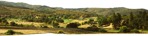 Trees fields png background cut out (5631) - miniature