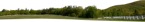 Trees fields png background cut out (5833) - miniature