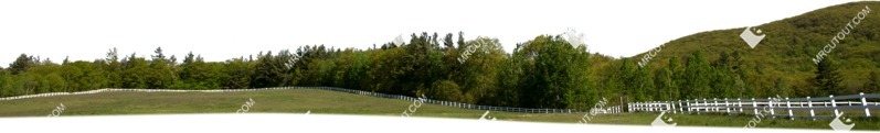 Trees fields png background cut out (5833)