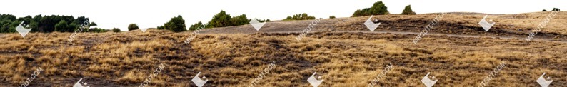 Trees fields cut out background png (6214)
