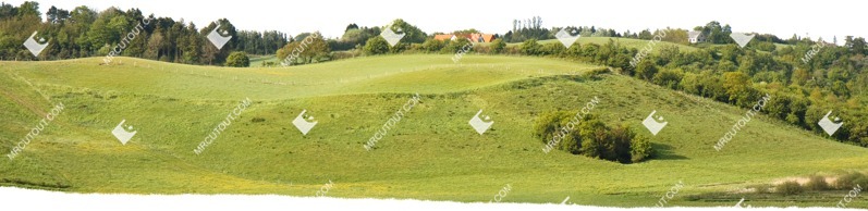 Trees fields png background cut out (5867)