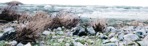 Water rocks rocks png foreground cut out (5913) - miniature