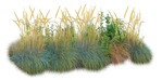 Cut out Wild Grass Bush Other Vegetation 0004 | MrCutout.com - miniature