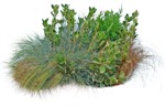Cut out Wild Grass Bush Other Vegetation 0001 | MrCutout.com - miniature
