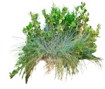 Wild grass bush  (10526) - miniature